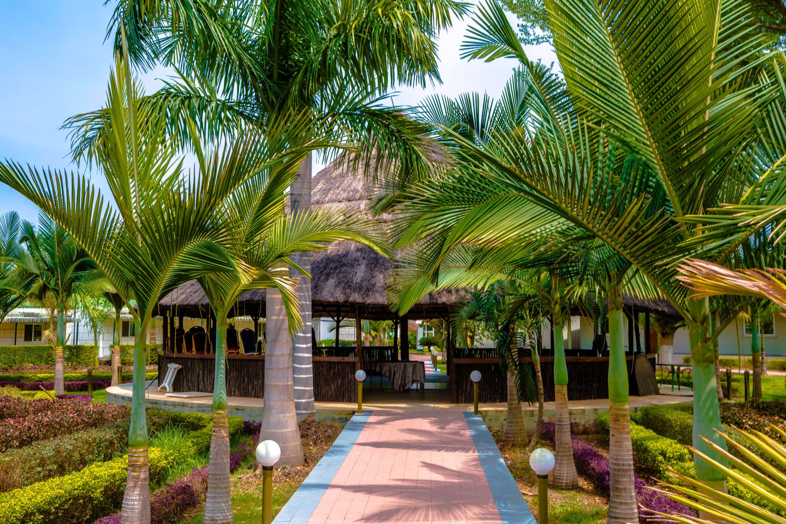 home-home-hero-bg-image